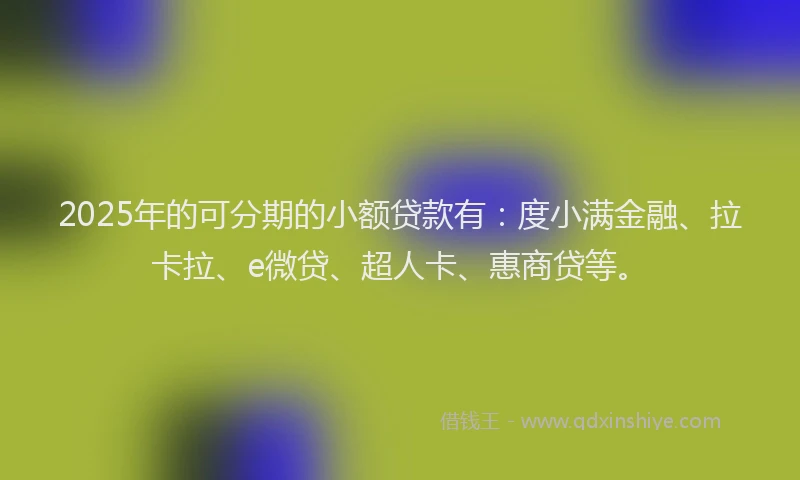 2025年的可分期的小额贷款有：度小满金融、拉卡拉、e微贷、超人卡、惠商贷等。