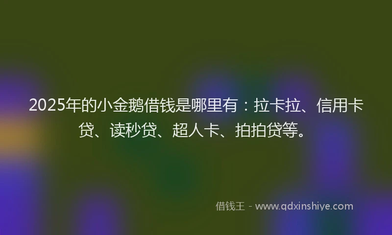 2025年的小金鹅借钱是哪里有：拉卡拉、信用卡贷、读秒贷、超人卡、拍拍贷等。
