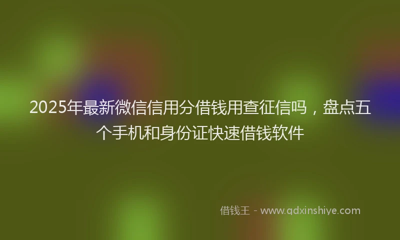 2025年最新微信信用分借钱用查征信吗，盘点五个手机和身份证快速借钱软件