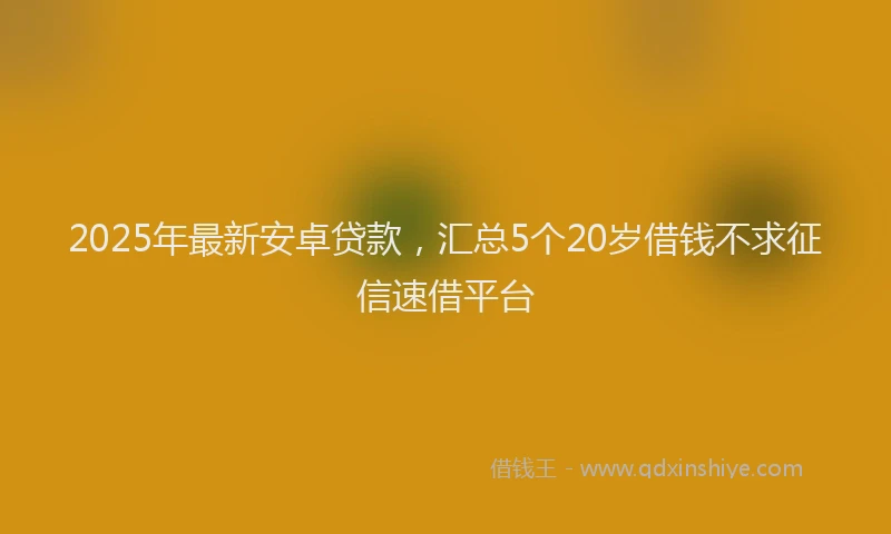 2025年最新安卓贷款，汇总5个20岁借钱不求征信速借平台