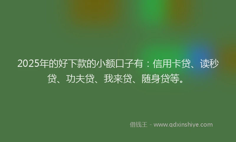 2025年的好下款的小额口子有：信用卡贷、读秒贷、功夫贷、我来贷、随身贷等。