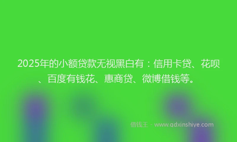 2025年的小额贷款无视黑白有：信用卡贷、花呗、百度有钱花、惠商贷、微博借钱等。