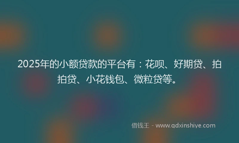 2025年的小额贷款的平台有：花呗、好期贷、拍拍贷、小花钱包、微粒贷等。