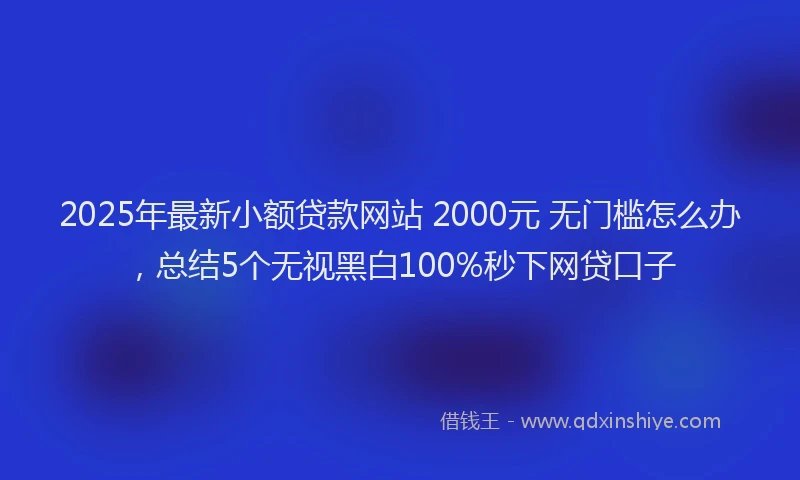 2025年最新小额贷款网站 2000元 无门槛怎么办，总结5个无视黑白100%秒下网贷口子