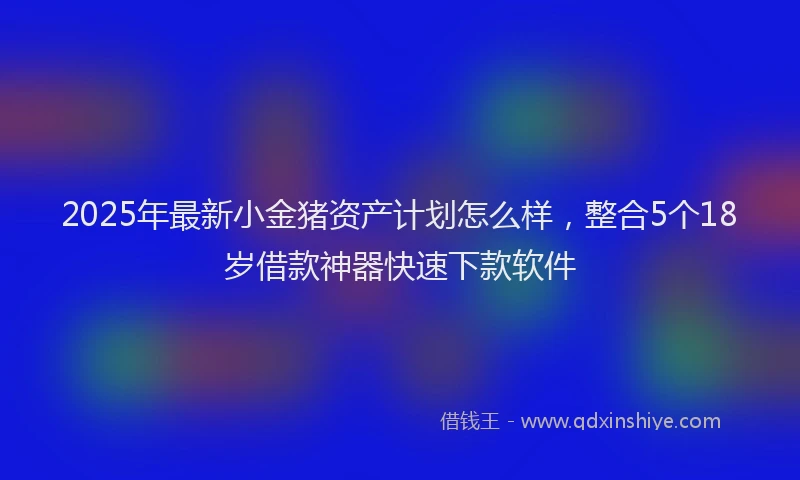 2025年最新小金猪资产计划怎么样，整合5个18岁借款神器快速下款软件