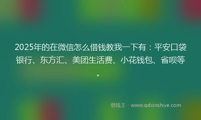 2025年的在微信怎么借钱教我一下有：平安口袋银行、东方汇、美团生活费、小花钱包、省呗等。