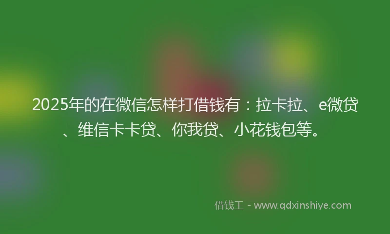 2025年的在微信怎样打借钱有：拉卡拉、e微贷、维信卡卡贷、你我贷、小花钱包等。