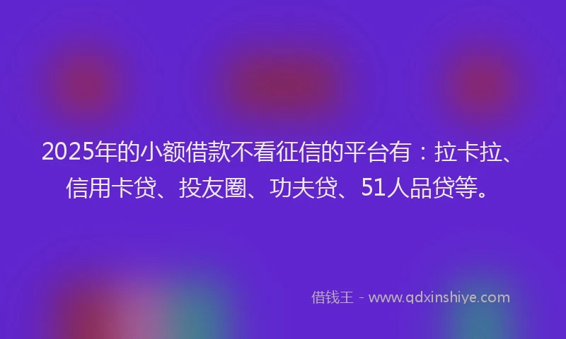 2025年的小额借款不看征信的平台有：拉卡拉、信用卡贷、投友圈、功夫贷、51人品贷等。
