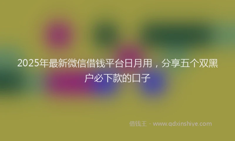 2025年最新微信借钱平台日月用，分享五个双黑户必下款的口子