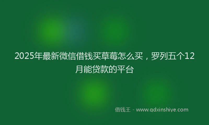 2025年最新微信借钱买草莓怎么买，罗列五个12月能贷款的平台