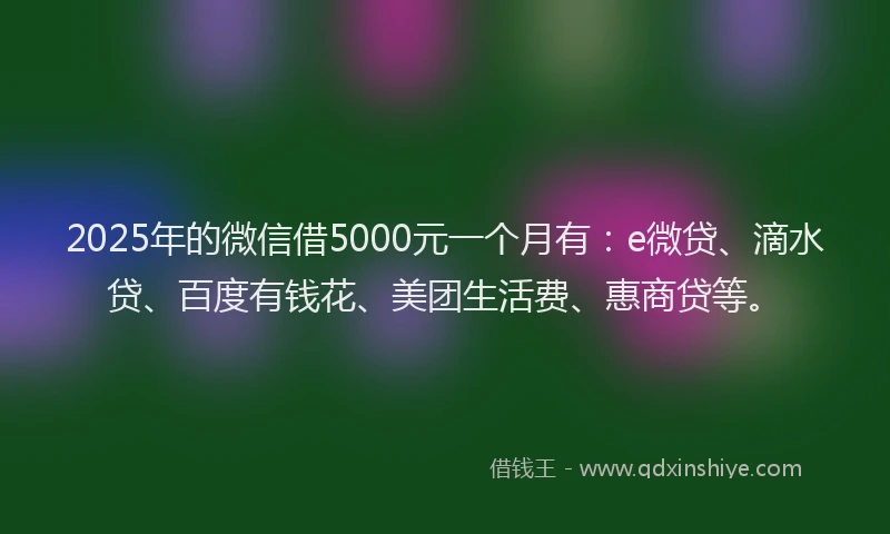 2025年的微信借5000元一个月有：e微贷、滴水贷、百度有钱花、美团生活费、惠商贷等。