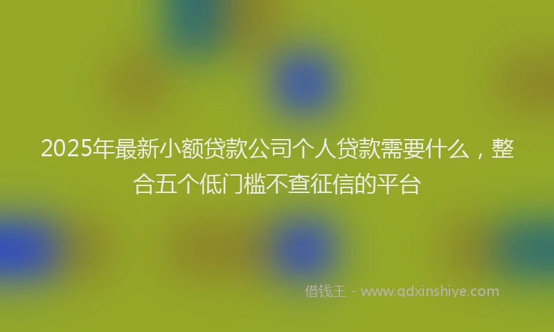 2025年最新小额贷款公司个人贷款需要什么，整合五个低门槛不查征信的平台