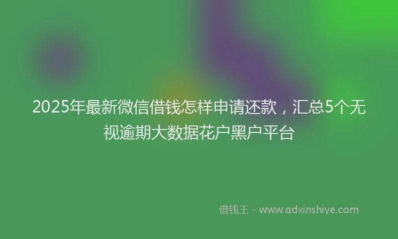 2025年最新微信借钱怎样申请还款，汇总5个无视逾期大数据花户黑户平台