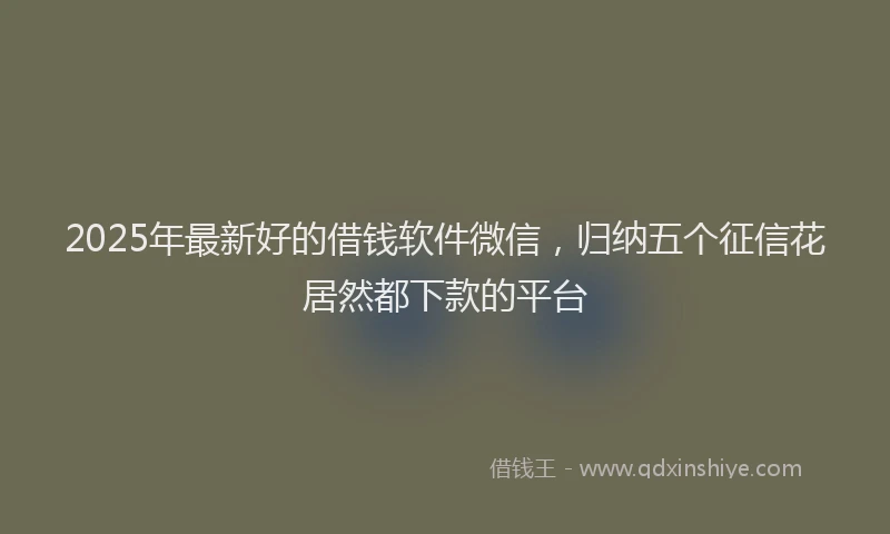 2025年最新好的借钱软件微信，归纳五个征信花居然都下款的平台