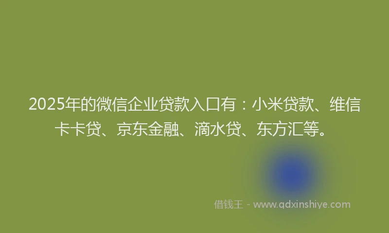 2025年的微信企业贷款入口有：小米贷款、维信卡卡贷、京东金融、滴水贷、东方汇等。