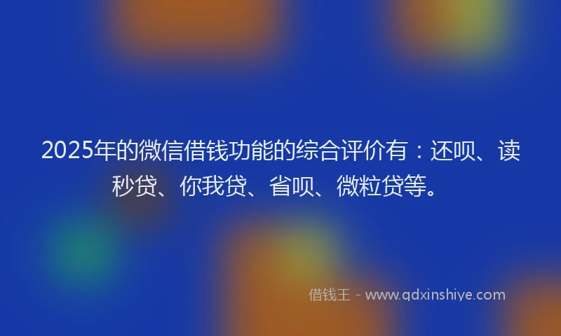 2025年的微信借钱功能的综合评价有：还呗、读秒贷、你我贷、省呗、微粒贷等。