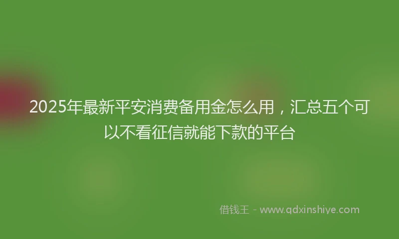 2025年最新平安消费备用金怎么用，汇总五个可以不看征信就能下款的平台