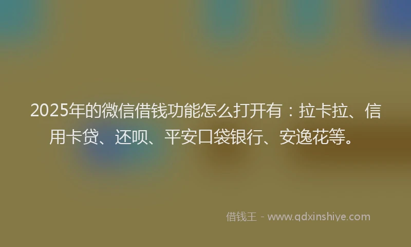 2025年的微信借钱功能怎么打开有:拉卡拉、信用卡贷、还呗、平安口袋银行、安逸花等。