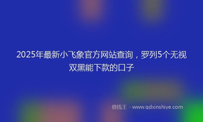 2025年最新小飞象官方网站查询，罗列5个无视双黑能下款的口子