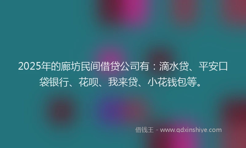 2025年的廊坊民间借贷公司有：滴水贷、平安口袋银行、花呗、我来贷、小花钱包等。