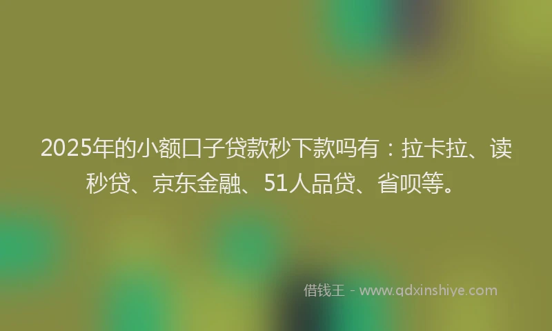 2025年的小额口子贷款秒下款吗有：拉卡拉、读秒贷、京东金融、51人品贷、省呗等。