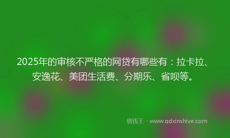 2025年的审核不严格的网贷有哪些有：拉卡拉、安逸花、美团生活费、分期乐、省呗等。