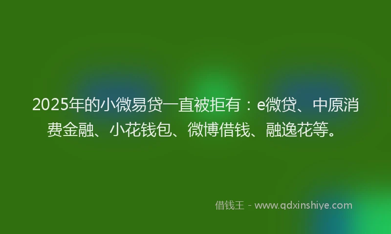 2025年的小微易贷一直被拒有：e微贷、中原消费金融、小花钱包、微博借钱、融逸花等。
