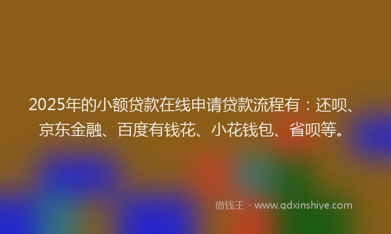 2025年的小额贷款在线申请贷款流程有：还呗、京东金融、百度有钱花、小花钱包、省呗等。