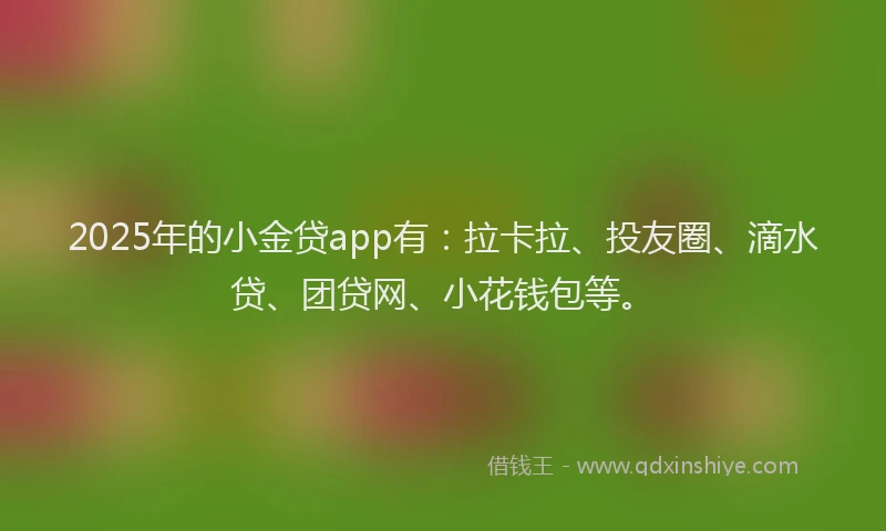 2025年的小金贷app有：拉卡拉、投友圈、滴水贷、团贷网、小花钱包等。