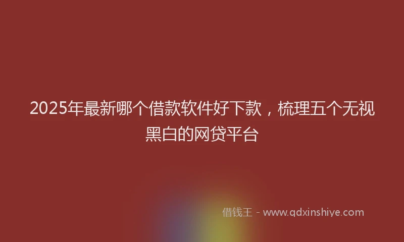 2025年最新哪个借款软件好下款，梳理五个无视黑白的网贷平台