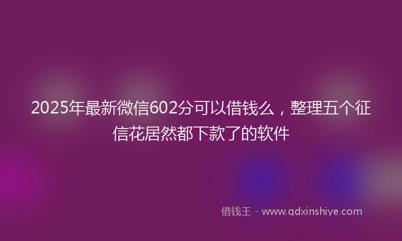 2025年最新微信602分可以借钱么，整理五个征信花居然都下款了的软件