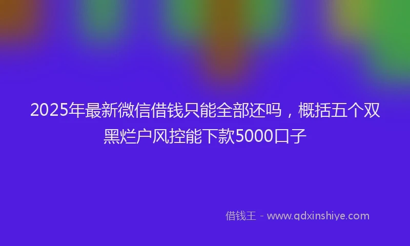 2025年最新微信借钱只能全部还吗，概括五个双黑烂户风控能下款5000口子
