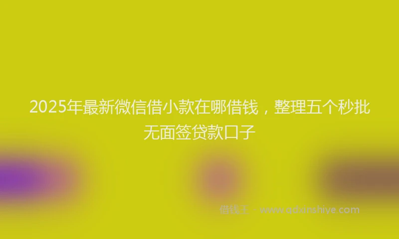 2025年最新微信借小款在哪借钱，整理五个秒批无面签贷款口子