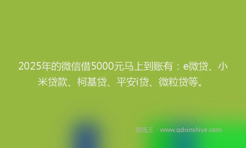 2025年的微信借5000元马上到账有：e微贷、小米贷款、柯基贷、平安i贷、微粒贷等。