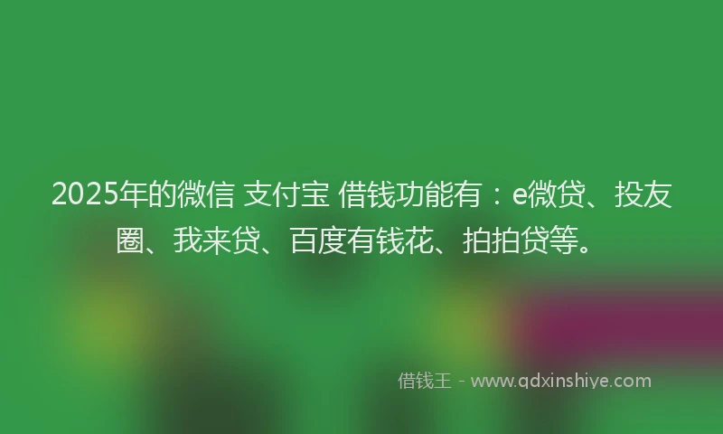 2025年的微信 支付宝 借钱功能有：e微贷、投友圈、我来贷、百度有钱花、拍拍贷等。
