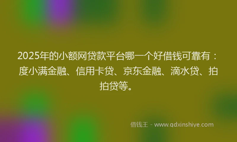 2025年的小额网贷款平台哪一个好借钱可靠有：度小满金融、信用卡贷、京东金融、滴水贷、拍拍贷等。