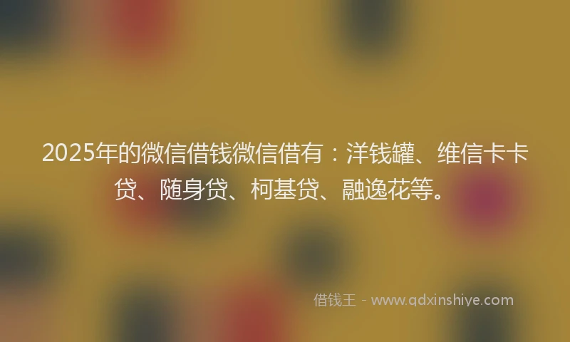 2025年的微信借钱微信借有：洋钱罐、维信卡卡贷、随身贷、柯基贷、融逸花等。