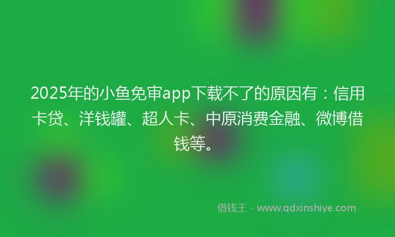2025年的小鱼免审app下载不了的原因有：信用卡贷、洋钱罐、超人卡、中原消费金融、微博借钱等。