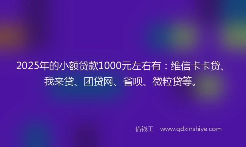 2025年的小额贷款1000元左右有：维信卡卡贷、我来贷、团贷网、省呗、微粒贷等。