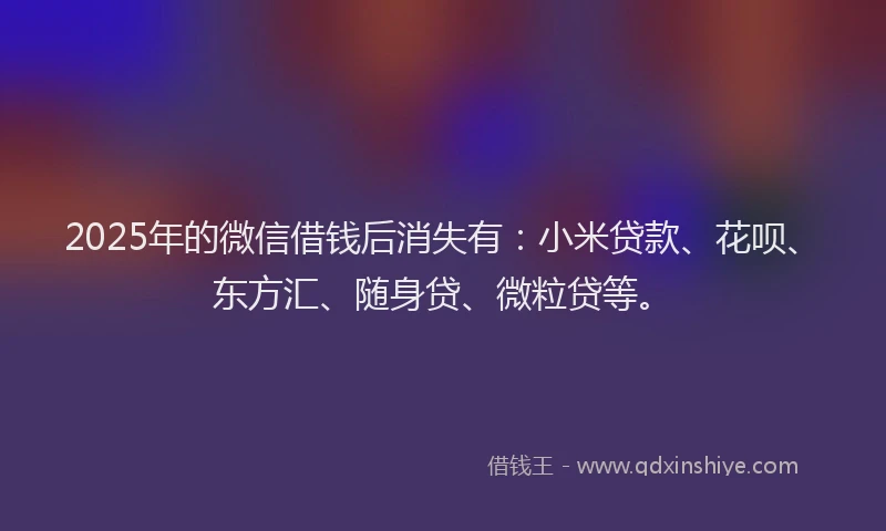 2025年的微信借钱后消失有：小米贷款、花呗、东方汇、随身贷、微粒贷等。