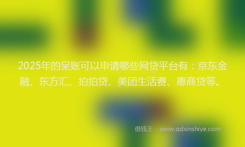 2025年的呆账可以申请哪些网贷平台有：京东金融、东方汇、拍拍贷、美团生活费、惠商贷等。