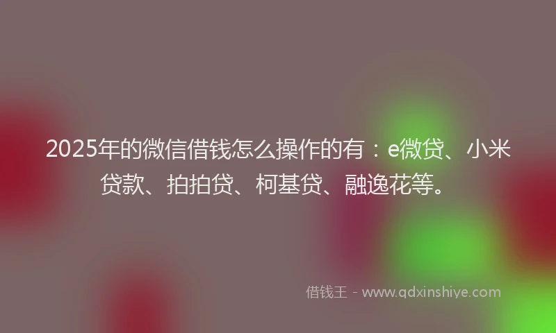 2025年的微信借钱怎么操作的有：e微贷、小米贷款、拍拍贷、柯基贷、融逸花等。