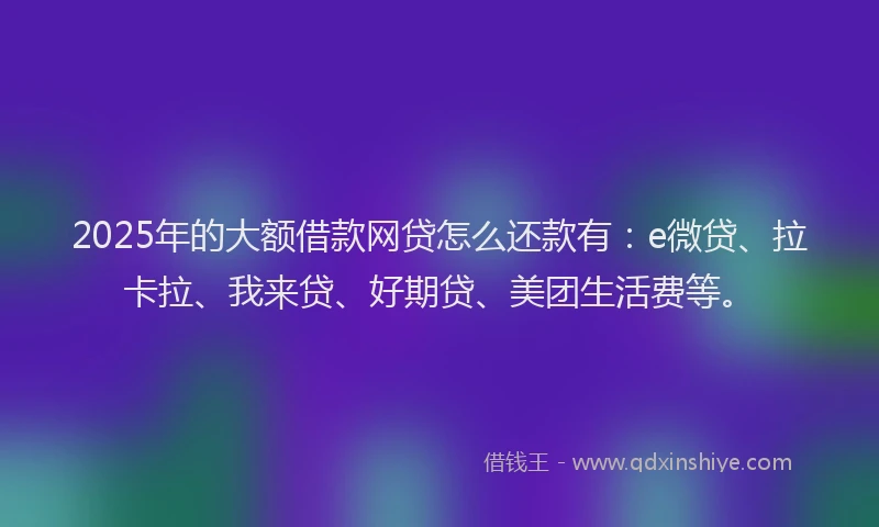 2025年的大额借款网贷怎么还款有：e微贷、拉卡拉、我来贷、好期贷、美团生活费等。