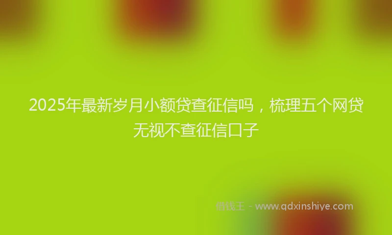 2025年最新岁月小额贷查征信吗，梳理五个网贷无视不查征信口子