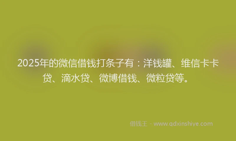 2025年的微信借钱打条子有：洋钱罐、维信卡卡贷、滴水贷、微博借钱、微粒贷等。