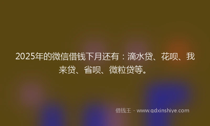 2025年的微信借钱下月还有：滴水贷、花呗、我来贷、省呗、微粒贷等。