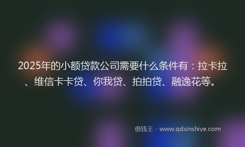 2025年的小额贷款公司需要什么条件有：拉卡拉、维信卡卡贷、你我贷、拍拍贷、融逸花等。