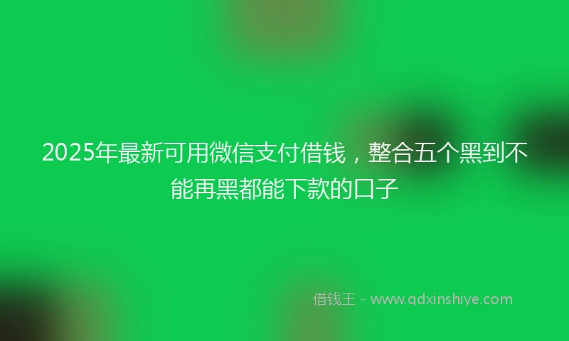 2025年最新可用微信支付借钱，整合五个黑到不能再黑都能下款的口子