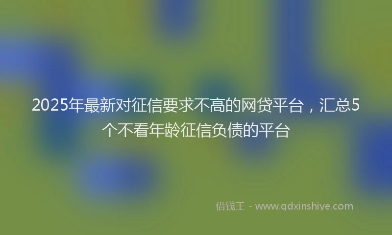 2025年最新对征信要求不高的网贷平台，汇总5个不看年龄征信负债的平台