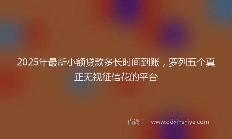 2025年最新小额贷款多长时间到账，罗列五个真正无视征信花的平台